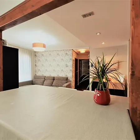 Bec, Hospital Cruces, Parking Gratis, Wifi, Aa, A 15 Min De Bilbao Apartment Barakaldo Exterior photo